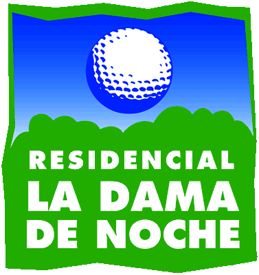 LA DAMA DE NOCHE